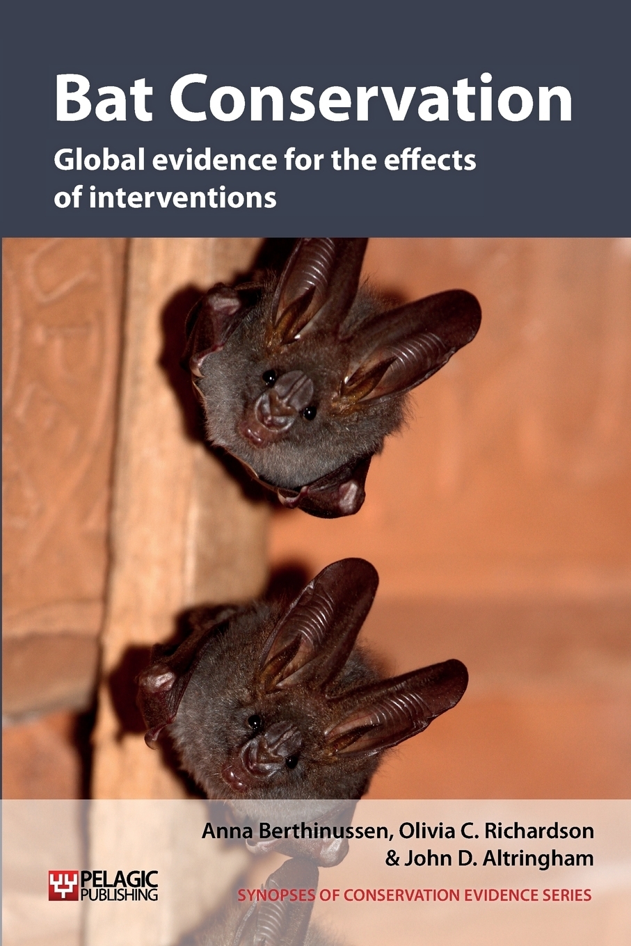 Bat Conservation. Global Evidence for the Effects of Interventions