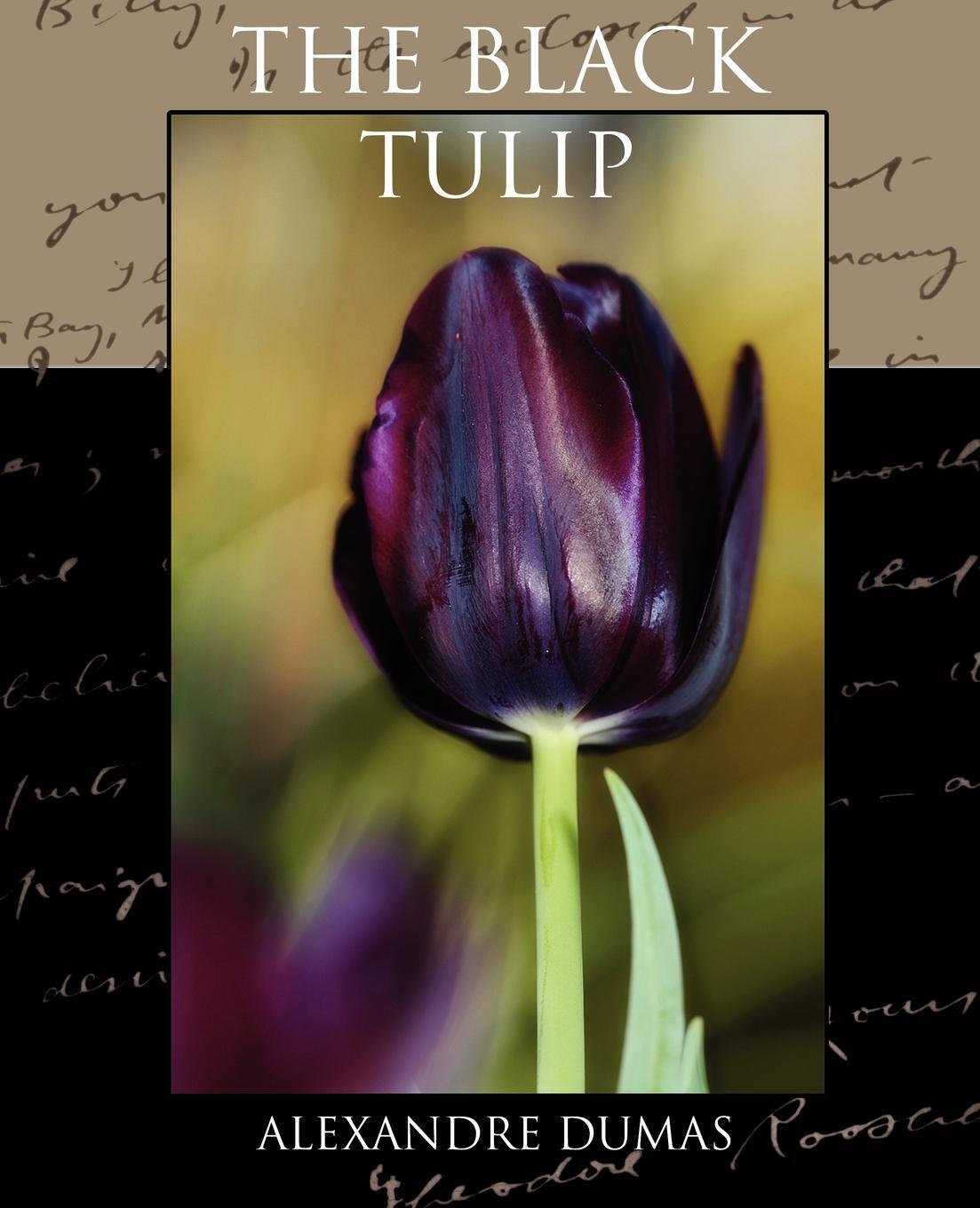 Имя черный тюльпан. Черный тюльпан. Black Tulip Alexandre Dumas. The Black Tulip by Alexandre Dumas черный тюльпан 1988. Духи черный тюльпан.