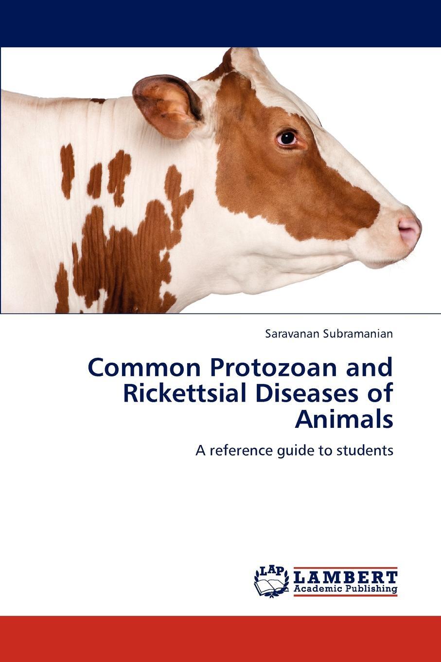 фото Common Protozoan and Rickettsial Diseases of Animals