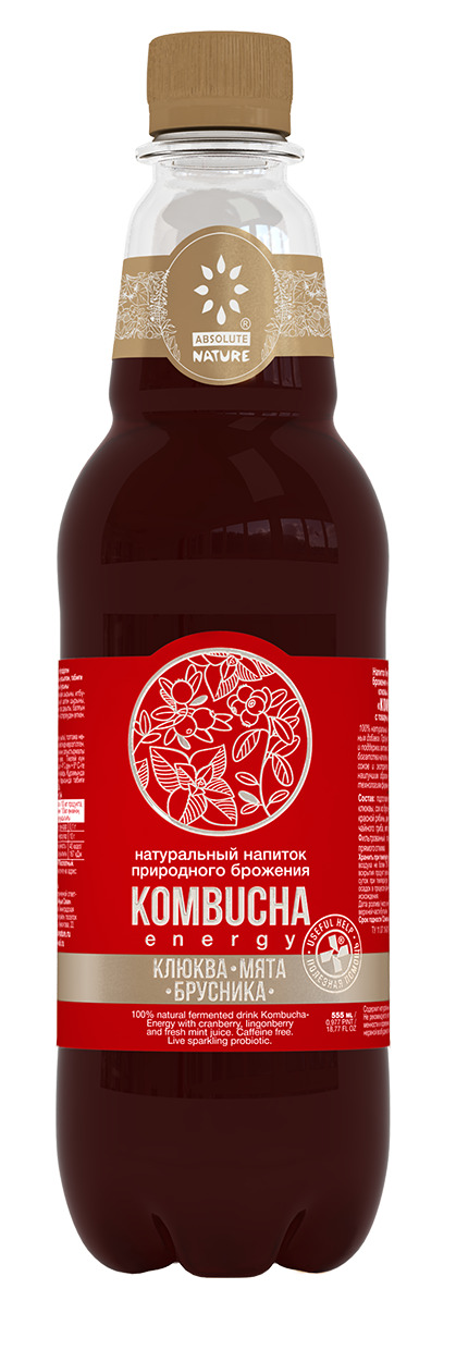 Напиток "Комбуча" ENERGY с соком ягод клюквы, брусники и свежей мяты 0 ...