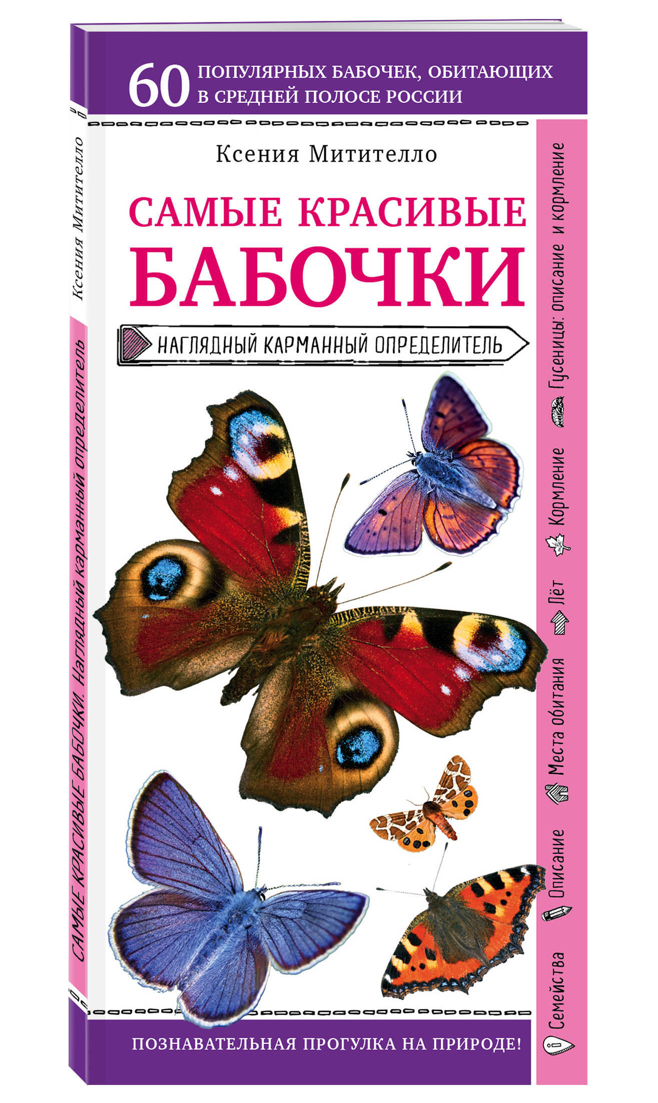 Бабочки. Наглядный карманный определитель (для ПР) | Митителло Ксения  Борисовна - купить с доставкой по выгодным ценам в интернет-магазине OZON  (258483321)