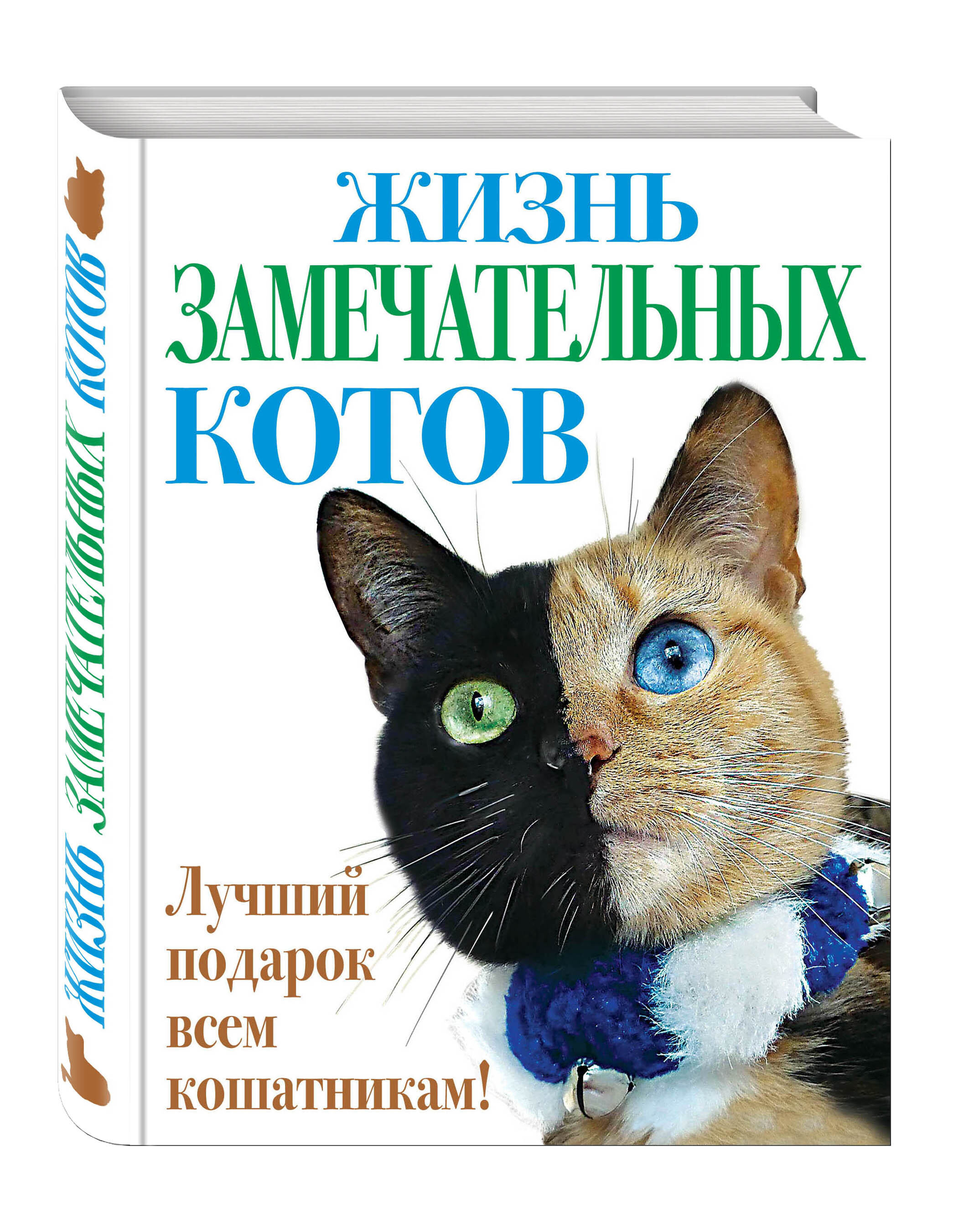 Домашняя кошка книга. Книги о котах. Книги о кошках Художественные. Кот с книгой. Книги про котиков.