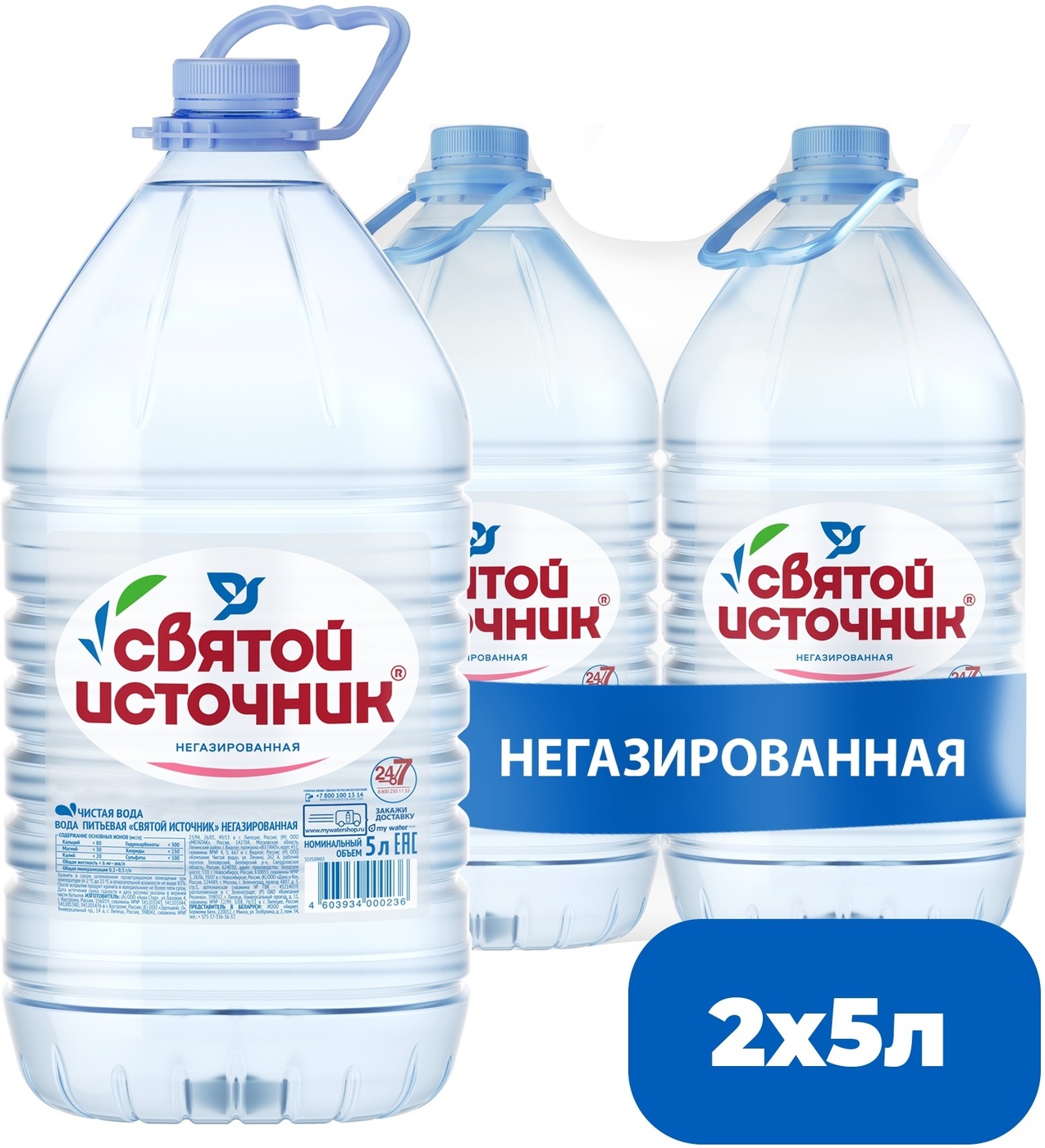 СвятойИсточникВодаПитьеваяНегазированная5000мл.2шт