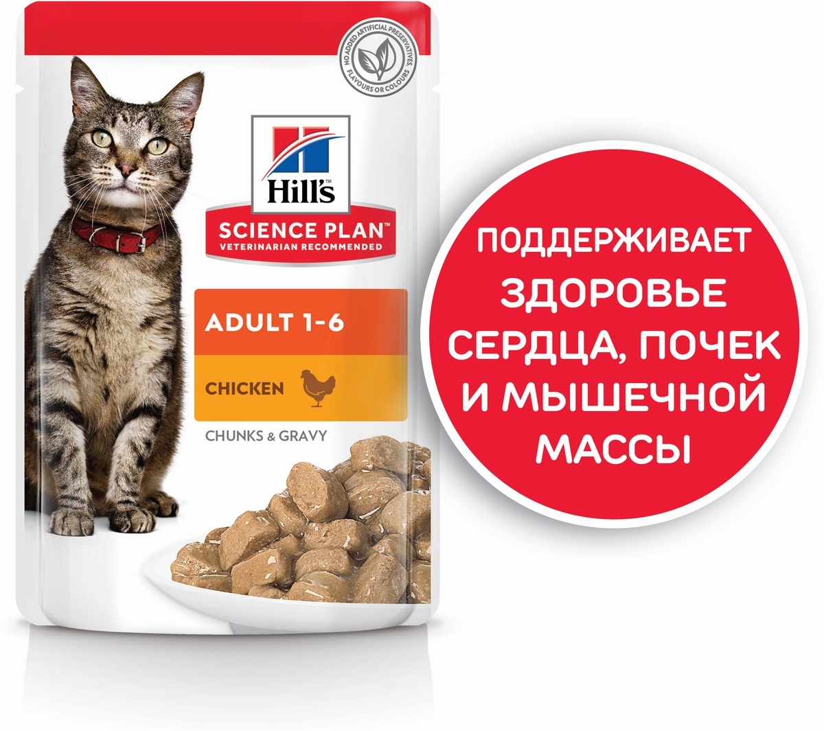 Хиллс корм для кошек