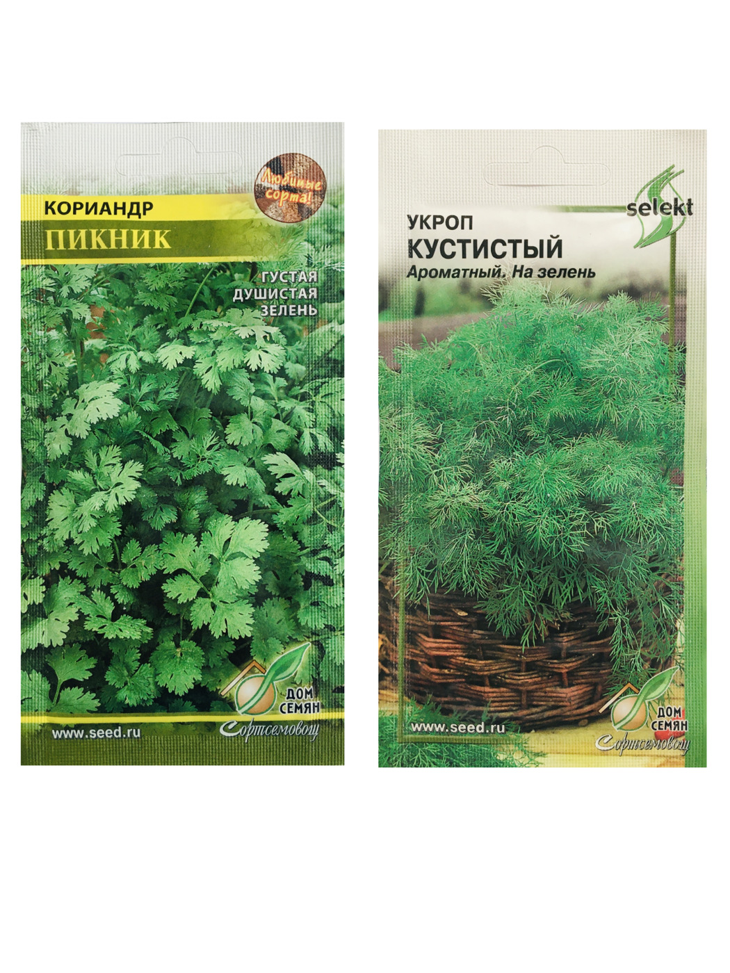Цикорий, Укроп Дом семян 46-UKROP_зеленый_светло-зеленый_Кориандр Пикник и  Укроп Кустистый - купить по выгодным ценам в интернет-магазине OZON  (227334399)