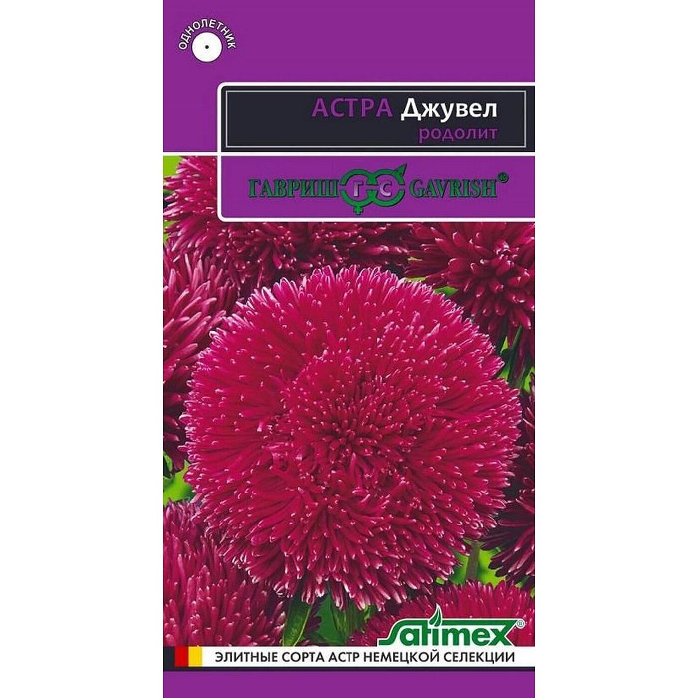 Семена Астры Купить В Интернет Магазине