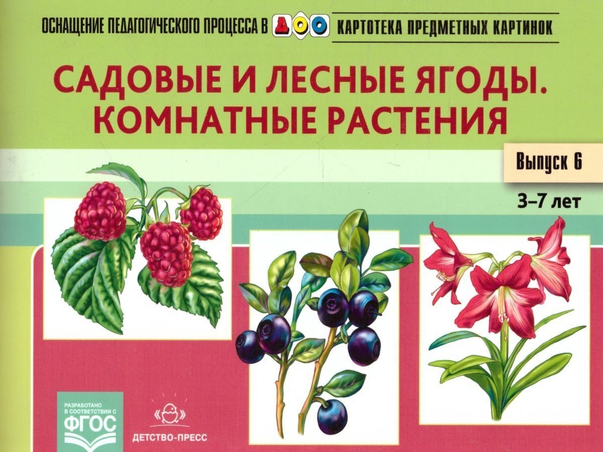 Нищева н в картотека предметных картинок по лексическим темам спб детство пресс 2013