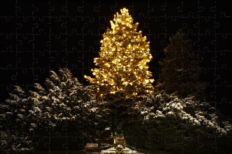 Lights on the tree. Елка ночью. Деревья ночью елки. Красивый свет под елями. Золотистая ель Гензе