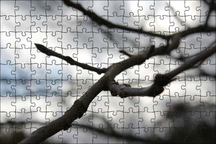 Free photo: Branches - Branch, Fresh, Green - Free Download - Jooinn