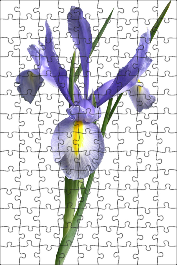 Файл iris png был выложен в интернете