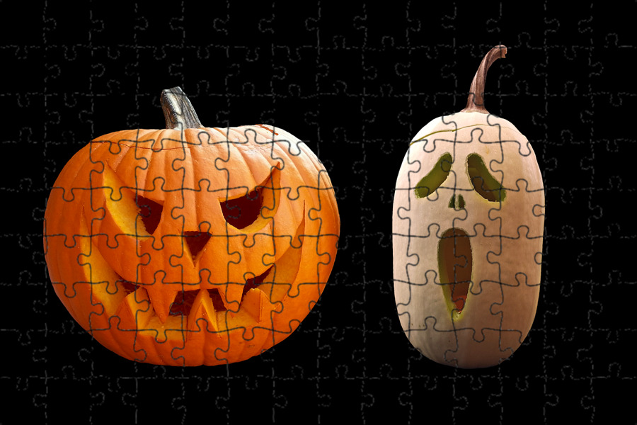 Pumpkin Carving Competition - Longcroft Luxury Cat Hotel Pumpkin carving, Hallow