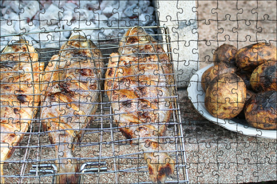 Какая рыба вкусная на костре. Мангал рыба. Жареная рыба на костре. Скумбрия на углях на решетке в фольге. Какая рыба вкусная на костре.