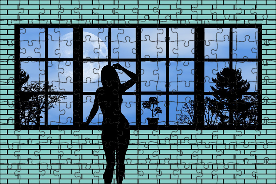 Девушка в окне вектор. Игру девушка в окне 2. Силуэт женщины в окне. Девушка в окне игра о чем. Девушка у окна грусть.