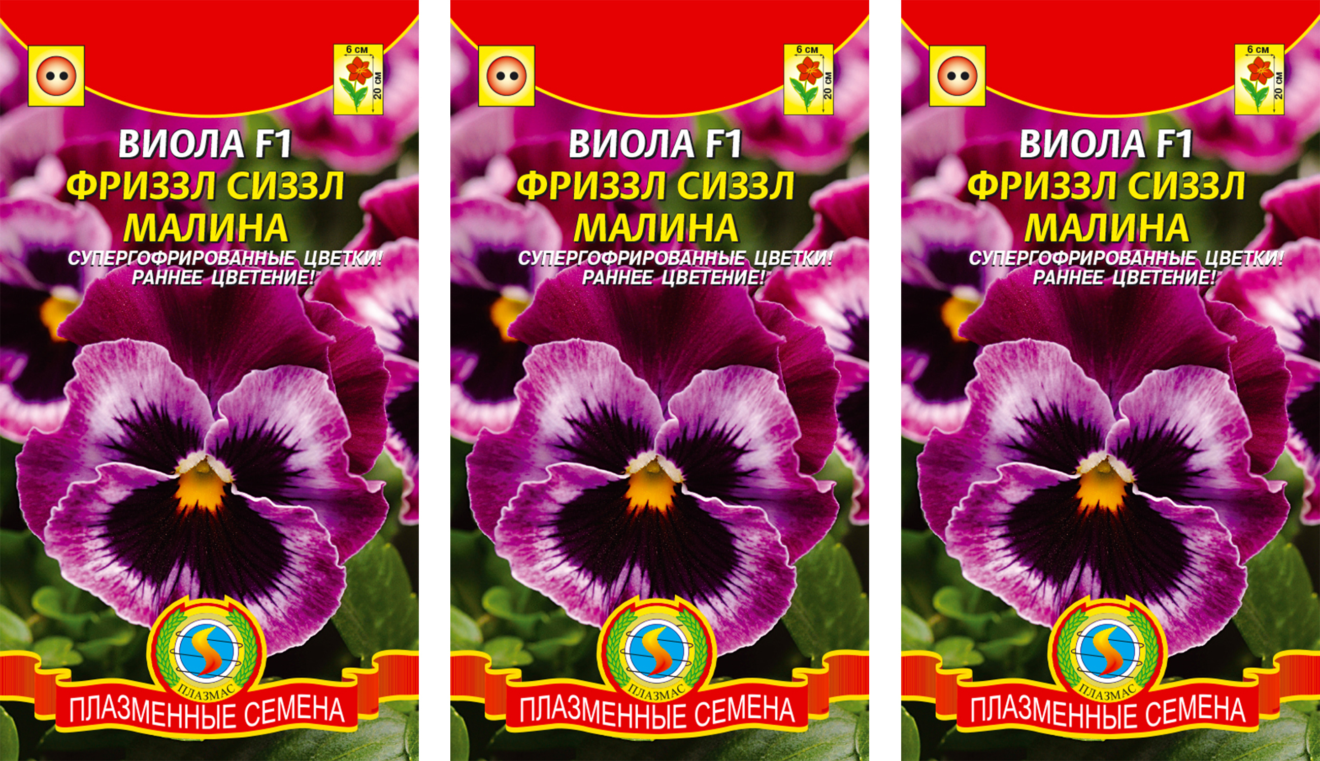 Семена Виолы Купить В Интернет Магазине
