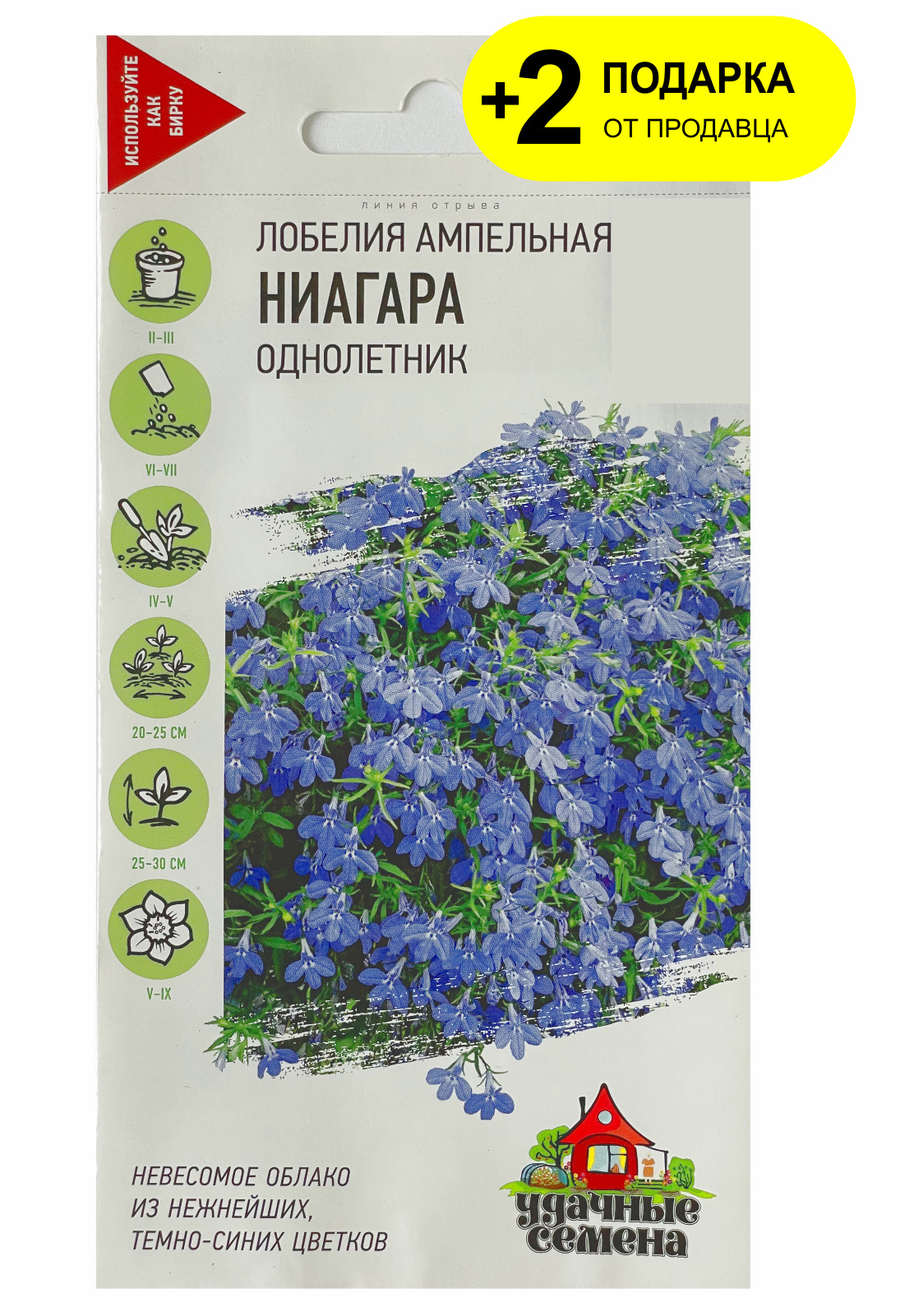 Лобелия Ниагара ампельная