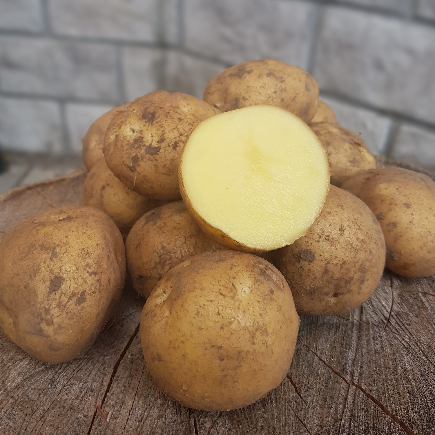 сорта картофеля с мякотью фото