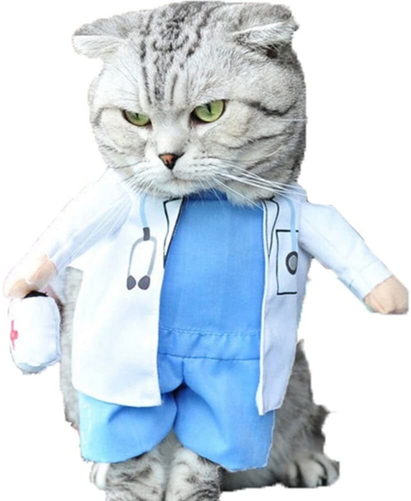 Котики в медицинских костюмах