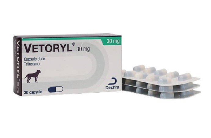 Vetoryl 60 Mg Купить