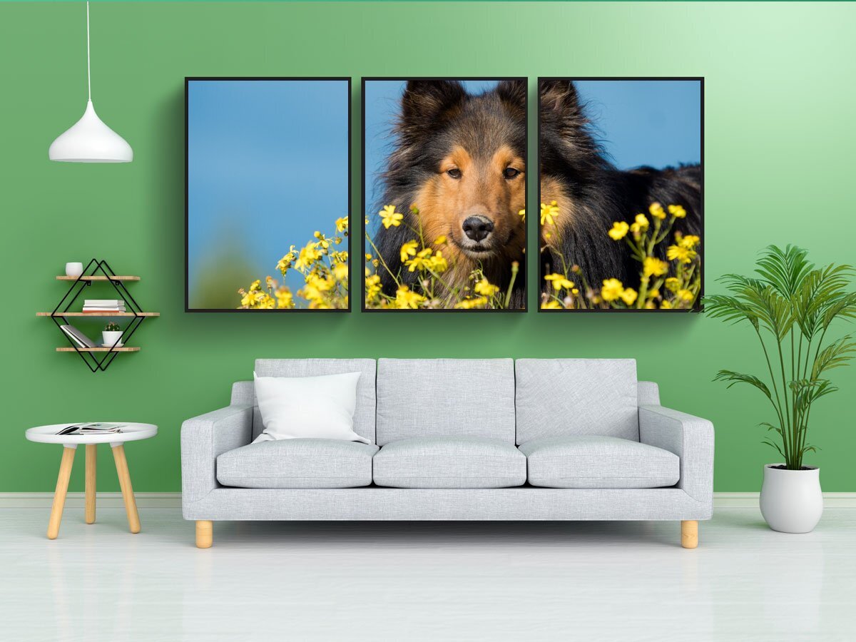 Постер собаки. Постеры с собаками. Постер собака шелти. Мини постеры для собак. Ретро постеры с собаками.