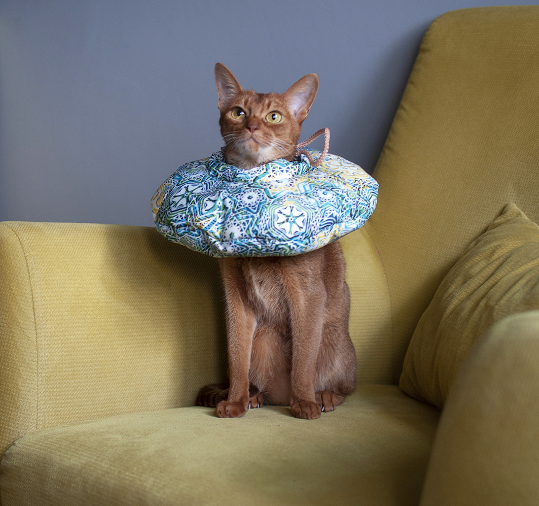 Защитный воротник для кошек