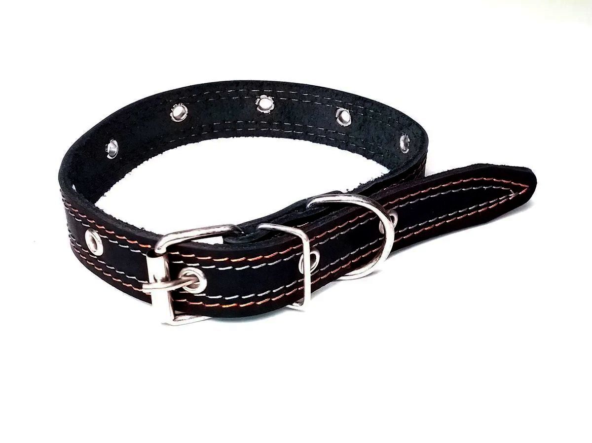 black leather collar