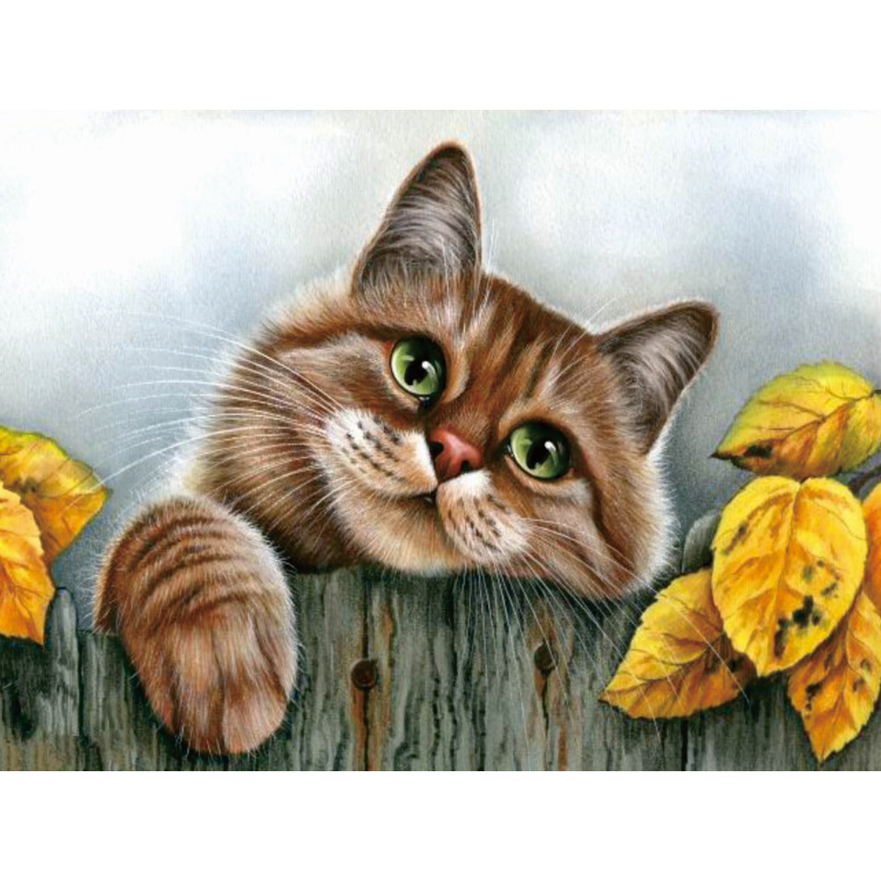 Коты рисунки