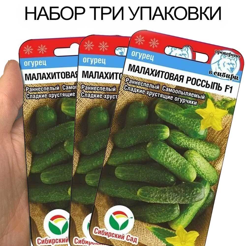 Паратунка Огурцы Купить Семена