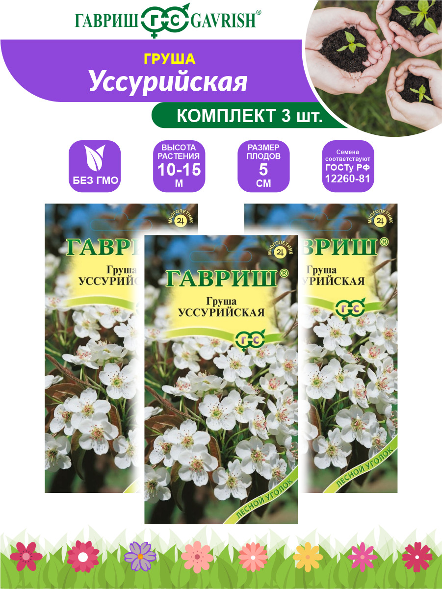 Семена Груши Уссурийской Купить