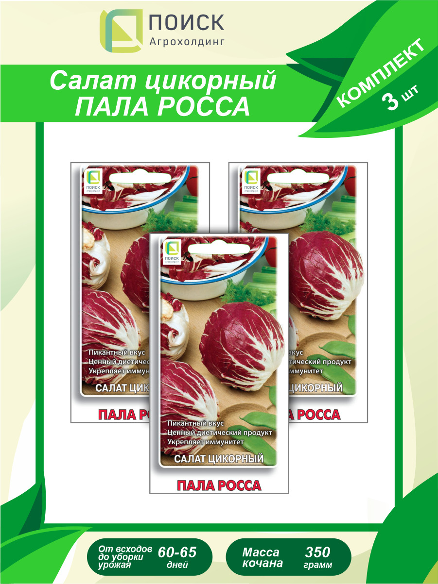 Пала росса. Цикорный пала Росса. Салат цикорный пала Росса. Цикорный салат пала Росса вкус. Салат цикорный диетический.