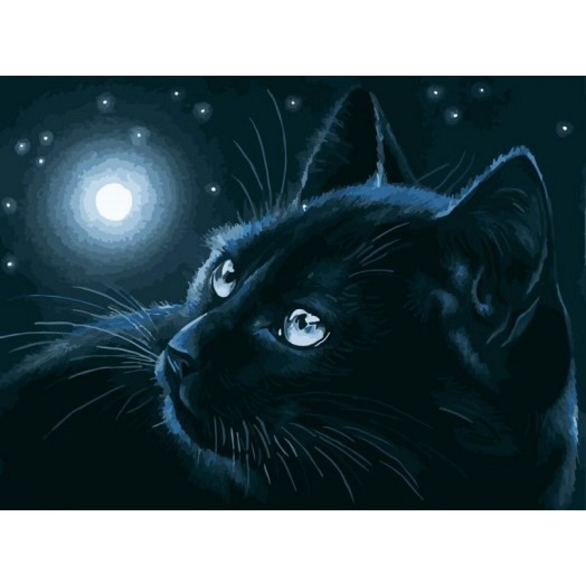 Раскраска лунный кот