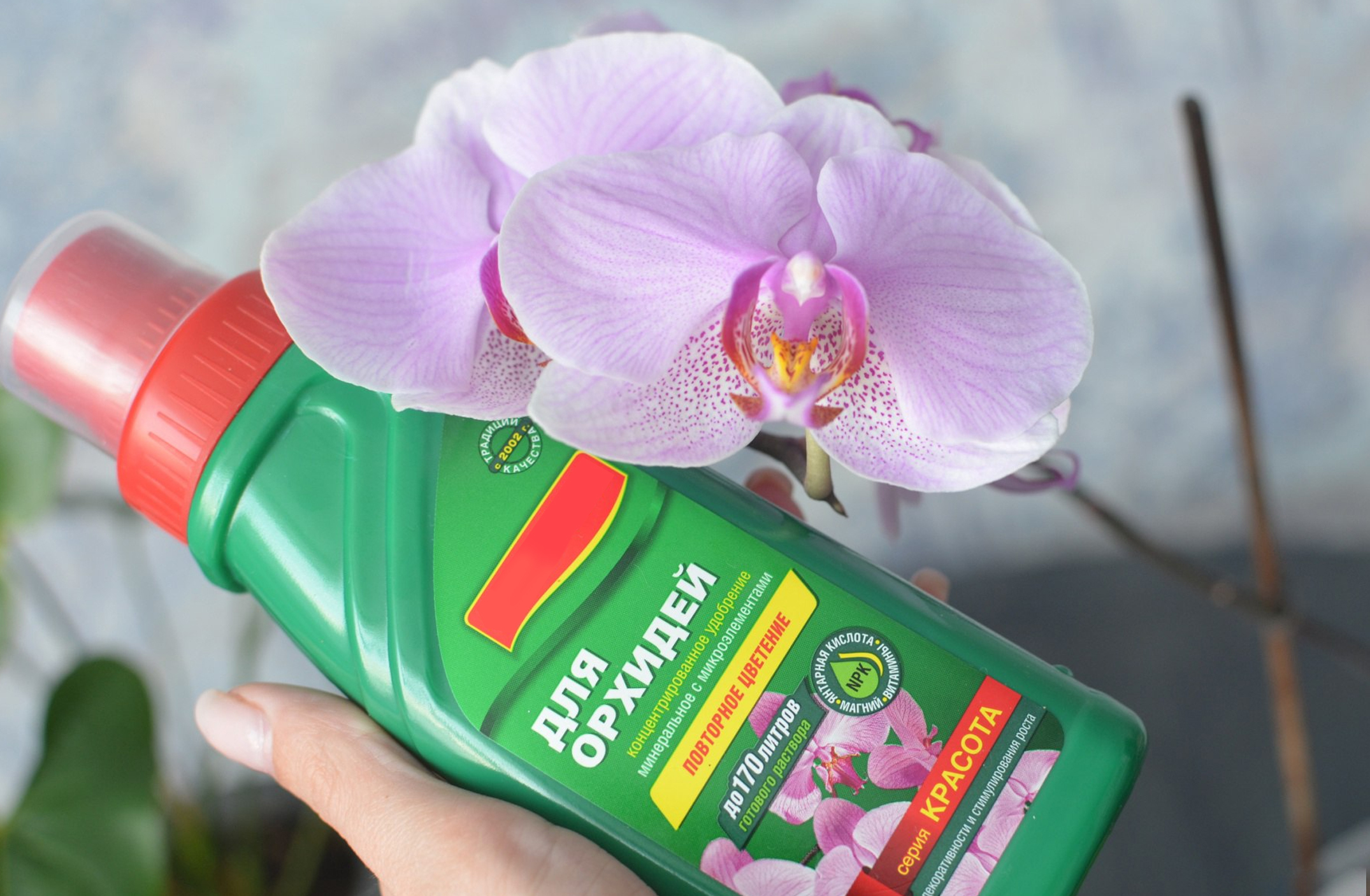 народные средства для цветения орхидей. удобрение для фаленопсиса орхидеи. удобрение жидкое д/комнатных орхидей 0,25 л агрикола аква. народные средства для цветения орхидей. удобрения для орхидей фаленопсис.