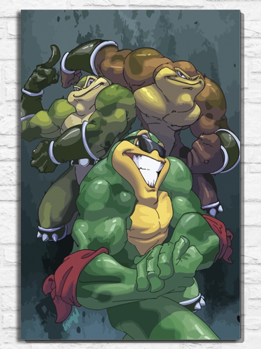 Battle toads and double. Battletoads Пимпл. Battletoads Раш Зитц и Пимпл. Батлтоадс Жабы. Battletoads боевые Жабы.