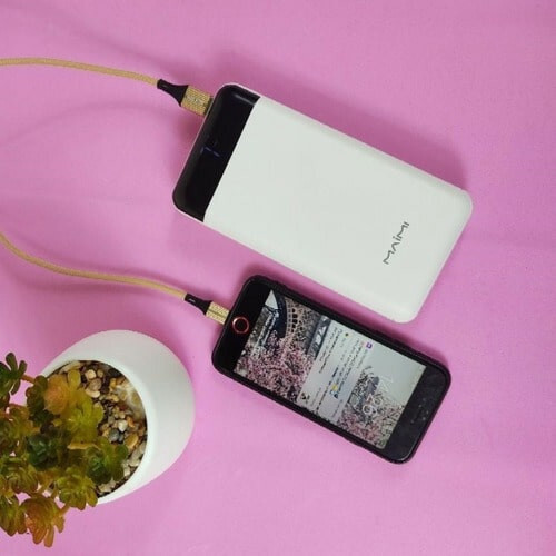 Повербанк 30000mah Ozon