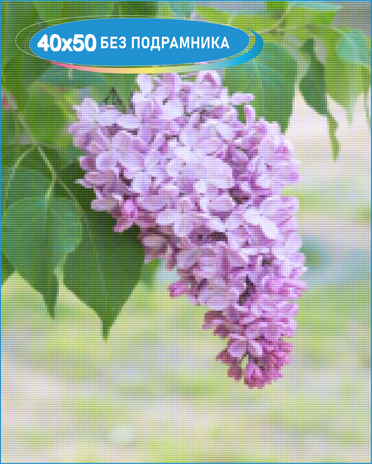 Картинка ветка сирени