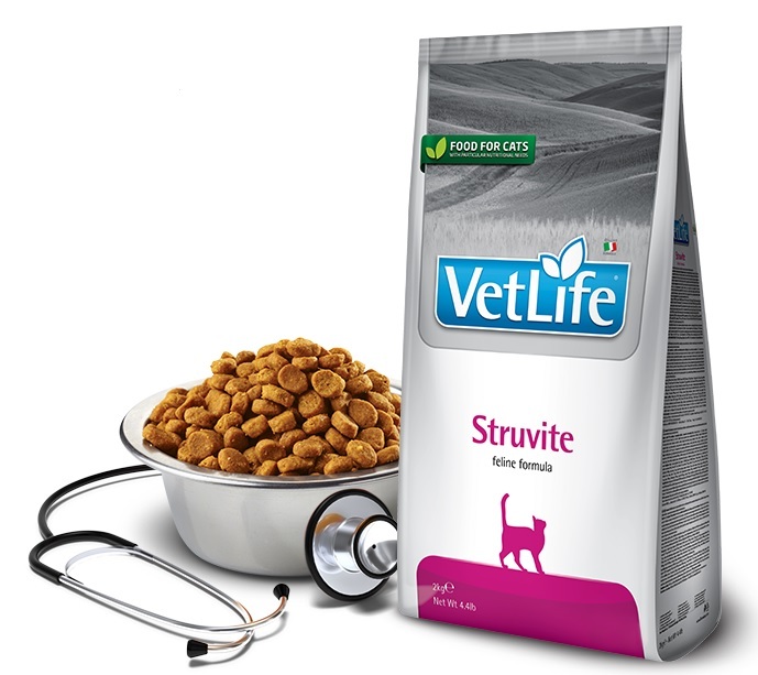 Life корм. Farmina Gastrointestinal для собак. Farmina vet Life Dog Gastrointestinal. Farmina vet Life Gastrointestinal гранулы. Vet Life Gastrointestinal корм.