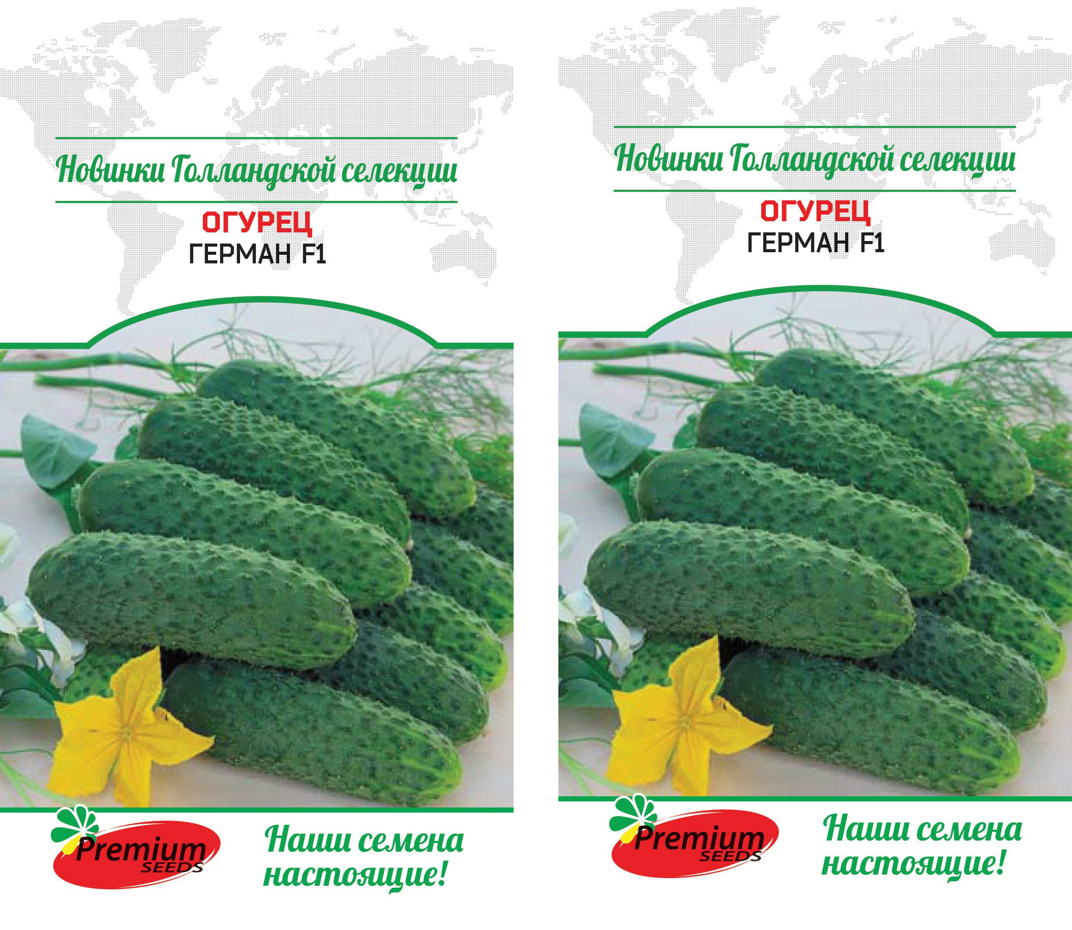 Купить Семена Герман