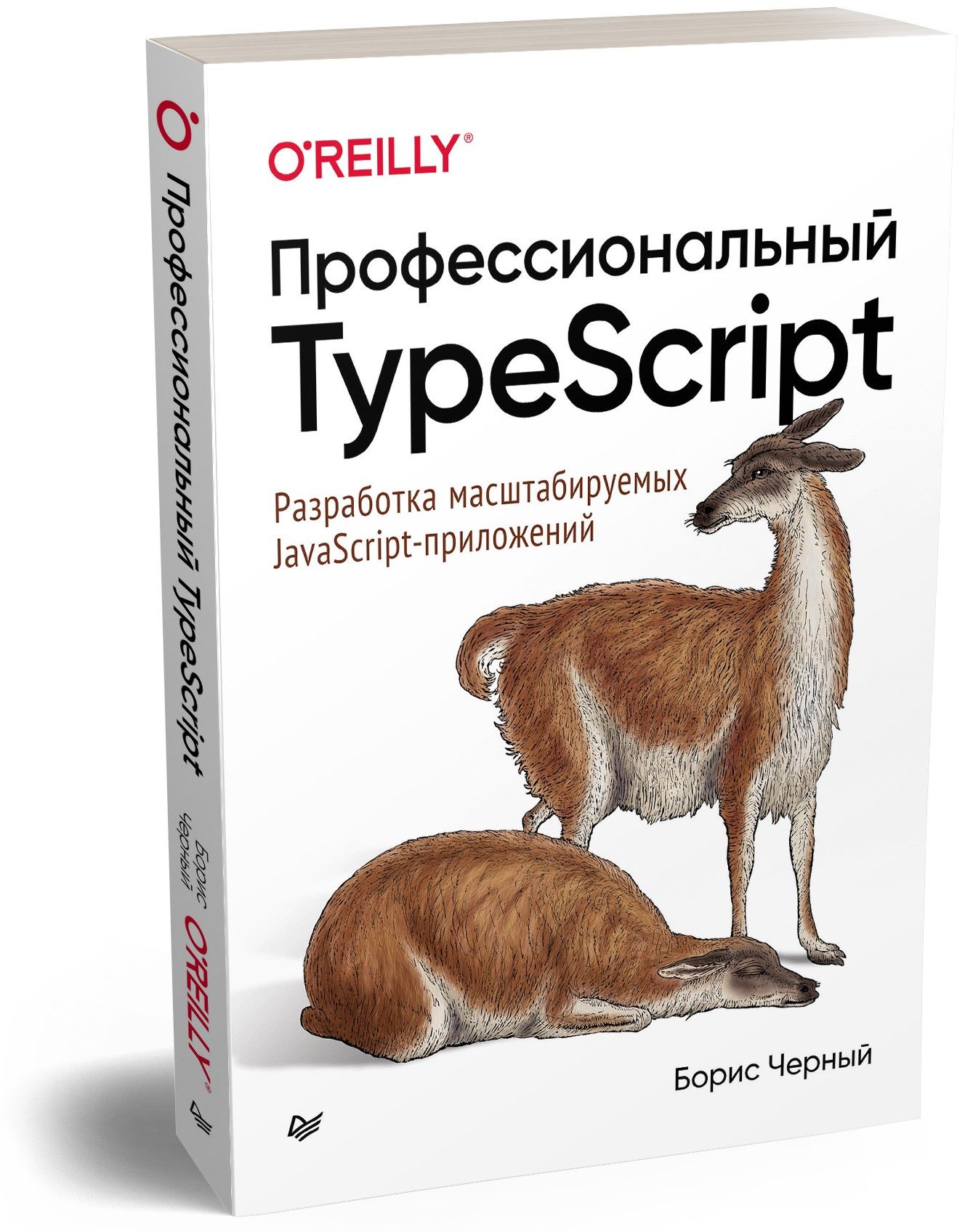 Профессиональный TypeScript. Разработка масштабируемых  JavaScript-приложений | Черный Борис