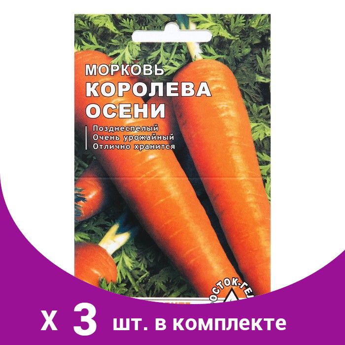 Королева Осени Морковь Фото Отзывы Описание