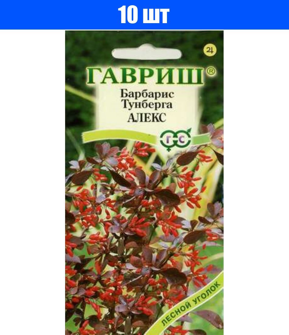 Семена кустарников. Семена Гавриш Барбарис Тунберга Алекс 0,2 г. Барбарис Тунберга Алекс. Барбарис Тунберга Алекс 0,2 г Гав. Барбарис семена Гавриш.