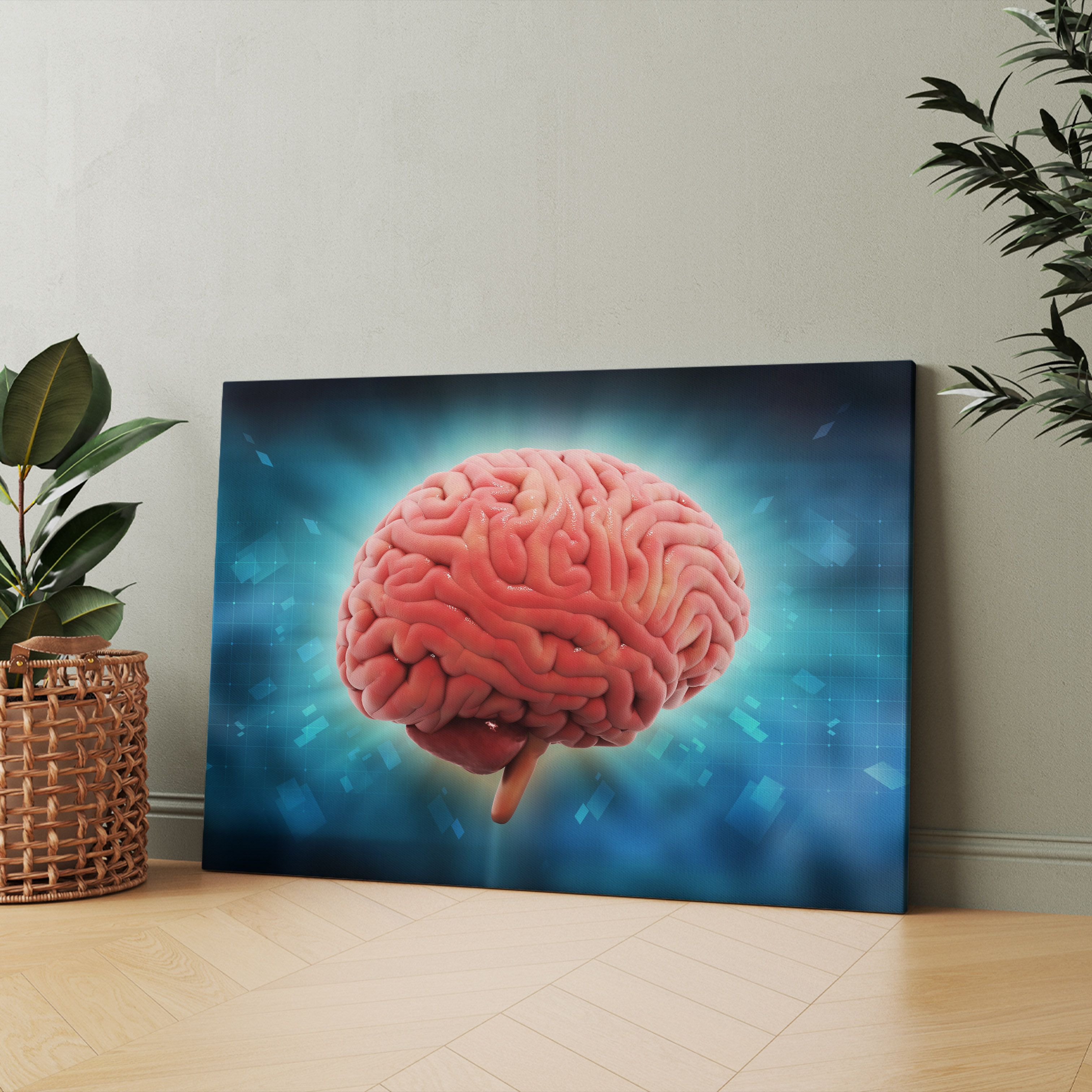 Brain 60
