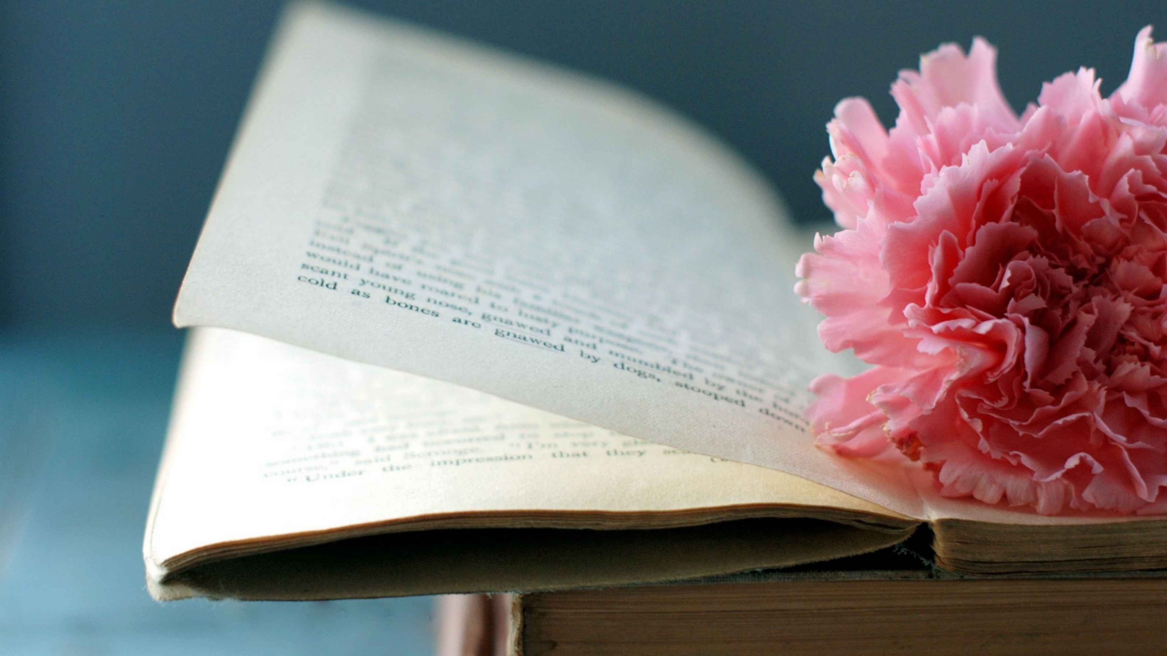 Книга цвет жизни. Книга цветы. Фон книги. Красивые книги. Красивый фон с книгами.