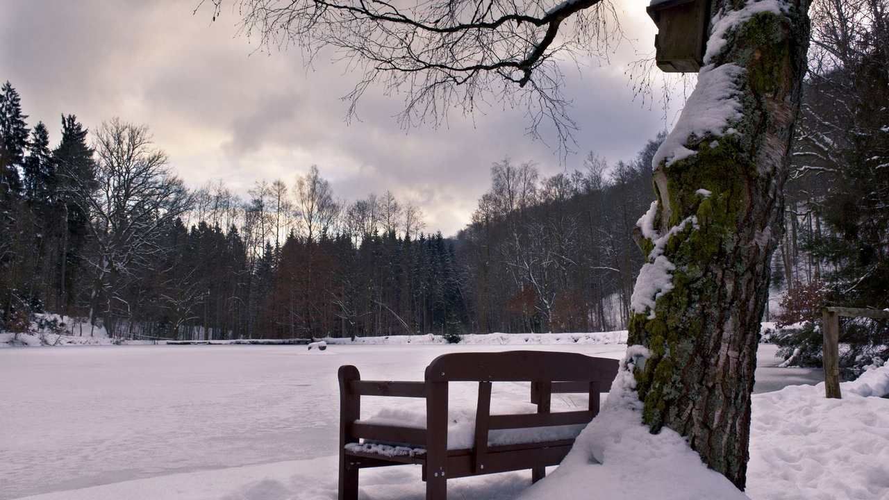 Шезлонг в снегу