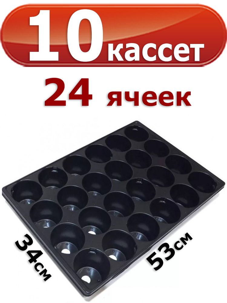 Штука для кассет. 128 Штук касета петунья.