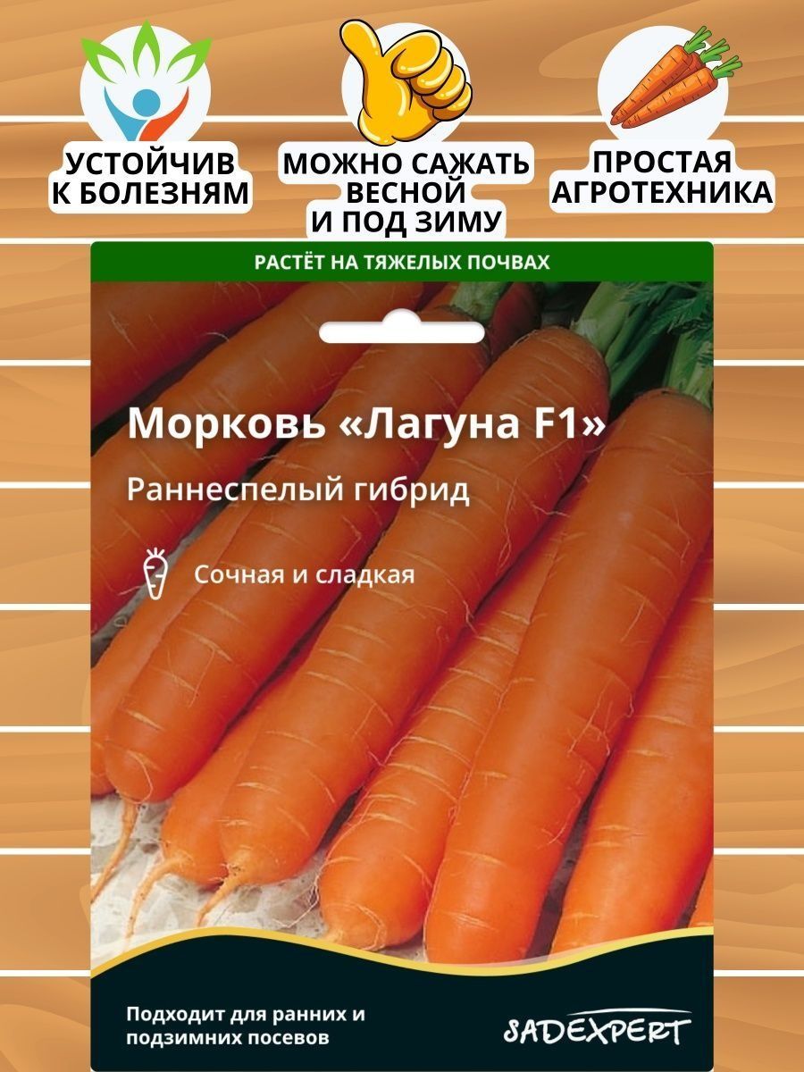 Купить Семена Моркови Лагуна