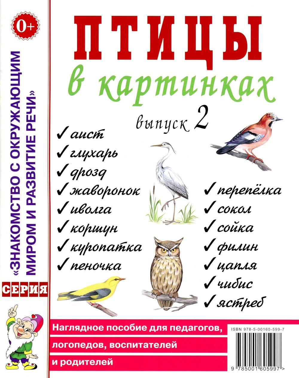 Птицы в картинках. Вып. 2. Наглядное пособие для педагогов, логопедов,  воспитателей и родителей - купить с доставкой по выгодным ценам в  интернет-магазине OZON (806819040)