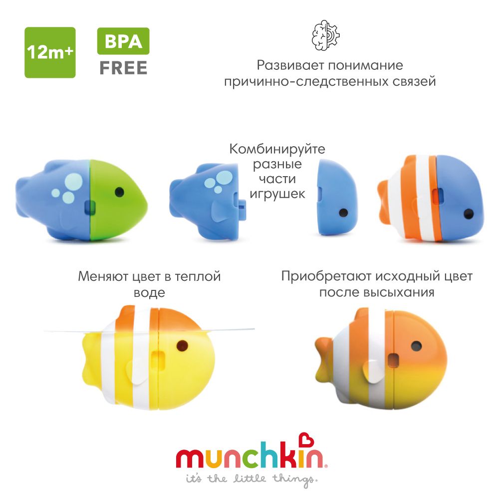 Munchkin игрушка для купания в ванне цветные рыбки ColorMix Fish 12+ NEW -  купить с доставкой по выгодным ценам в интернет-магазине OZON (232290107)