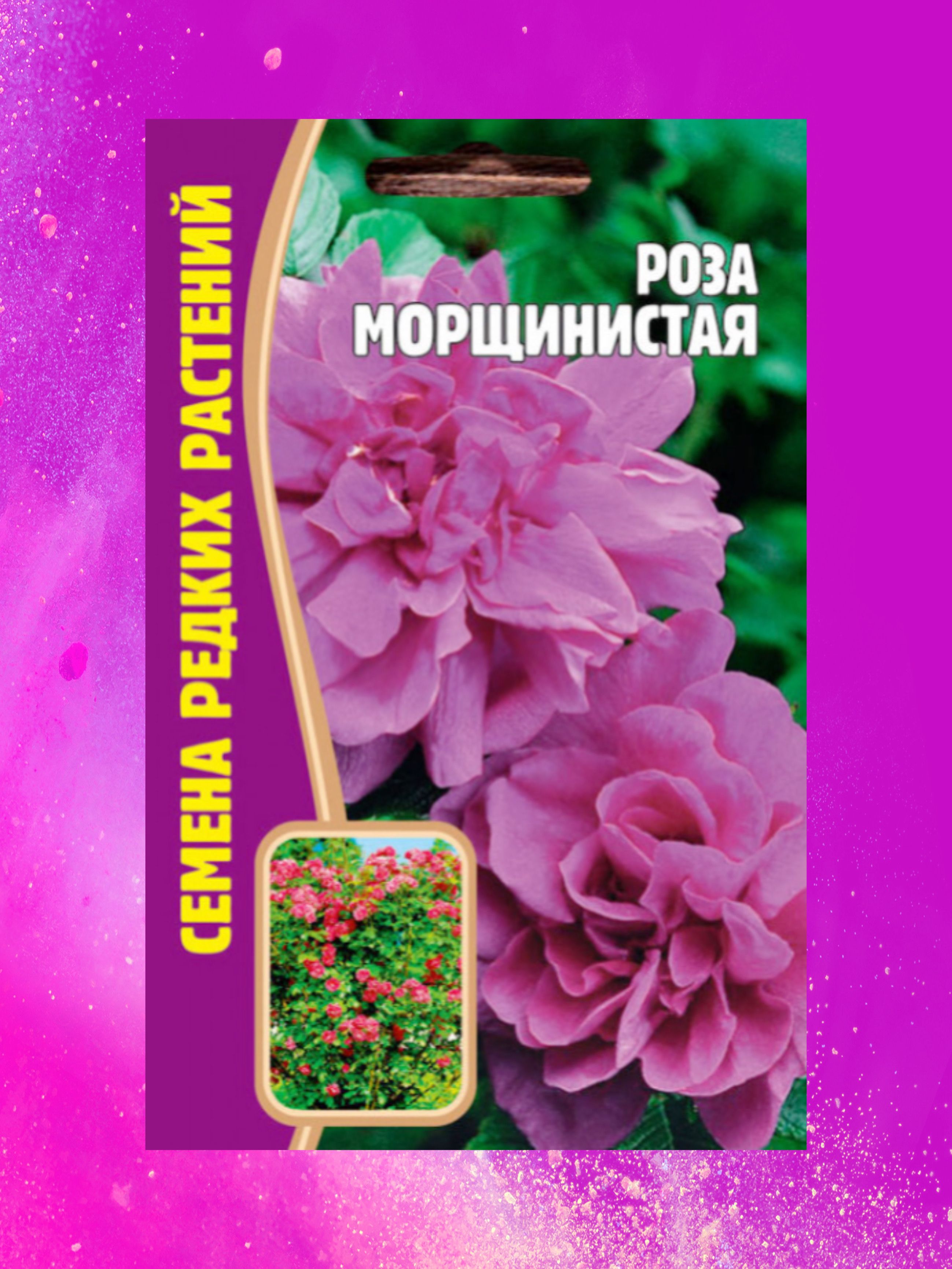 Семена Роз Купить Многолетние