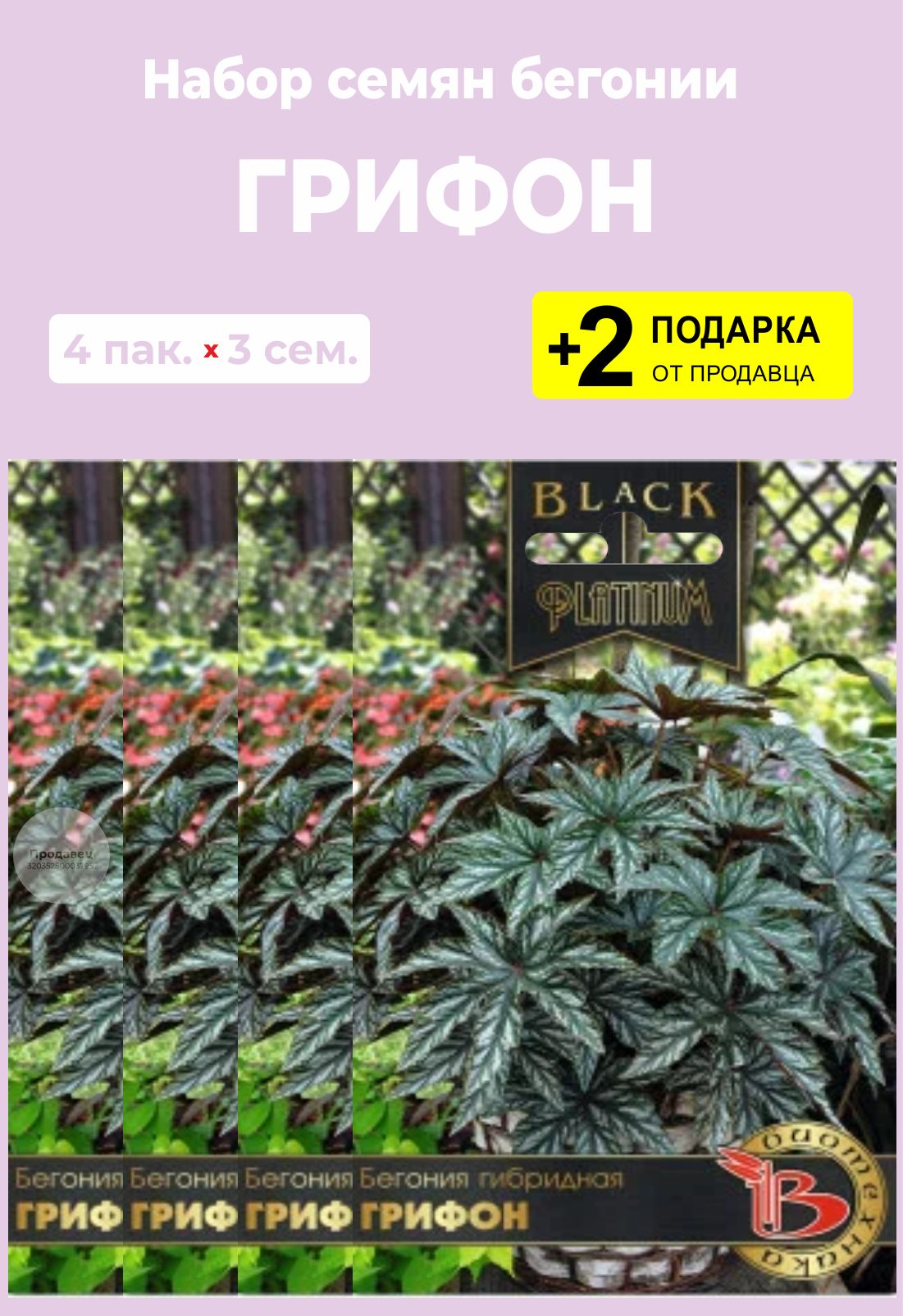 Бегония Грифон Семена Купить