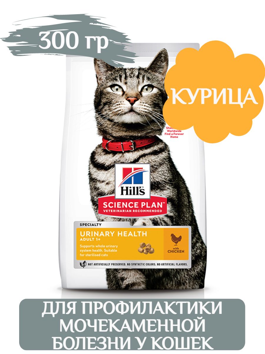 Hills science plan urinary health. Хиллс Уринари для кошек. Корм Хилс к/д для кошек. Hills Urinary Health для кошек. Hills Science Plan для кошек.