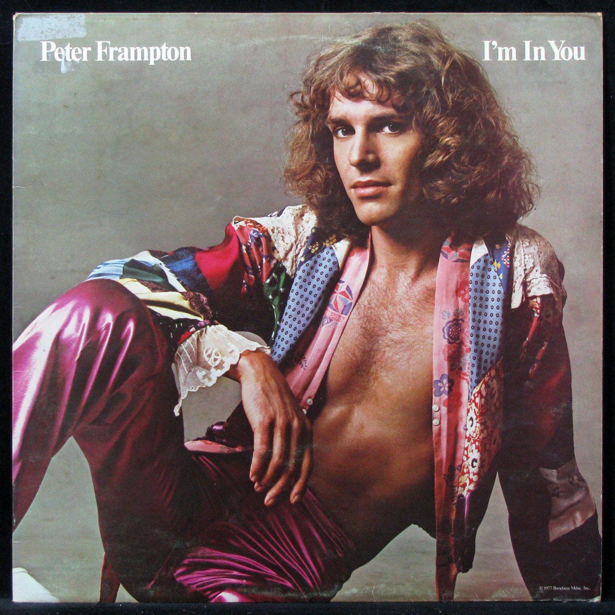 Питер фрэмптон фото Peter Frampton - Im In You (винил) (312875) - купить с доставкой по выгодным цен